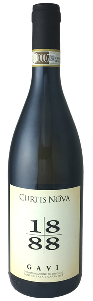 Curtis Nova - Gavi 1888