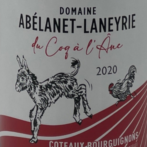 Les Salonnières Coteaux Bourguignons 2020